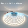 [4000K（中性光）]