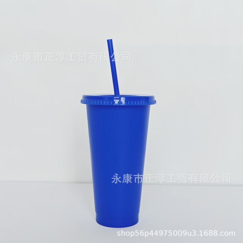 外贸新款马卡龙系列大容量710ML塑料奶茶杯PP材质磨砂手感吸管杯|undefined