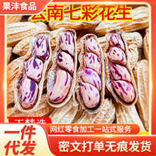 【代发】七彩花生云南特产花生 新货生 花生批发多彩农家自种花生