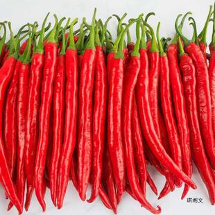 С�׽����r�����l�Fժ�t�������G�l�t���⽷�����������罷�u�ݽ�