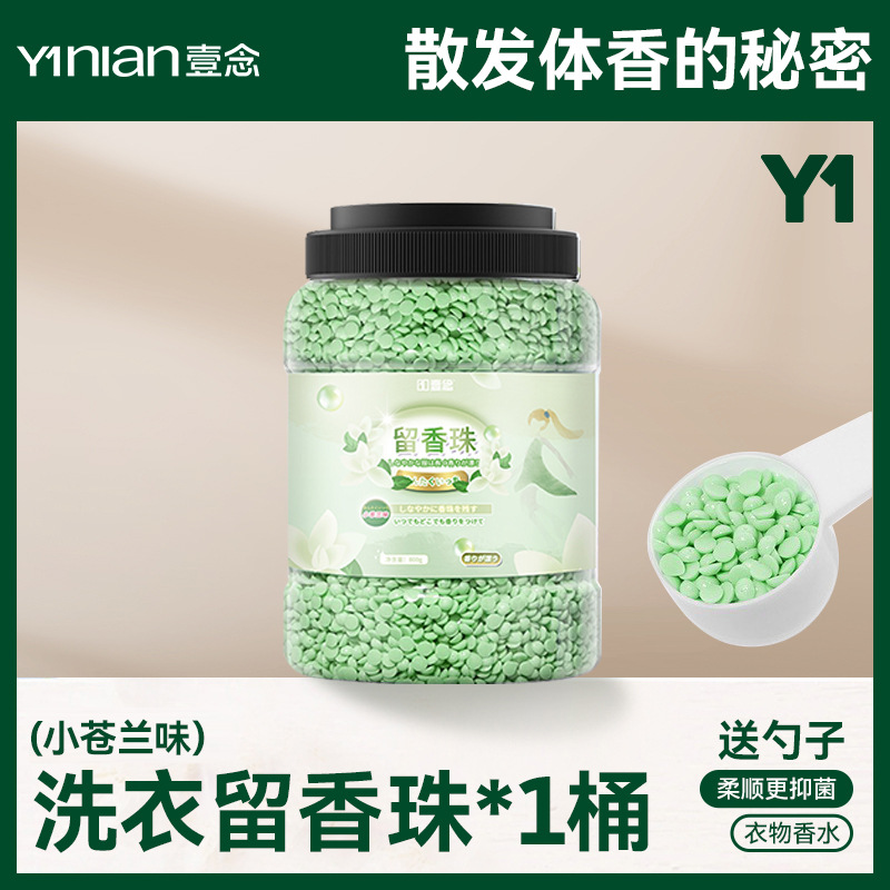 프리지아 - 1통 (핫한 추천은 스푼 포함)