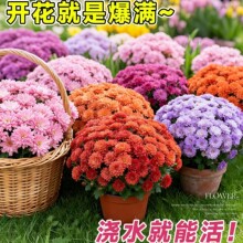 �ջ��������Ԏ������ͺ��_���ܾGֲ���ļ��󻨽���վ���ǧ�^��