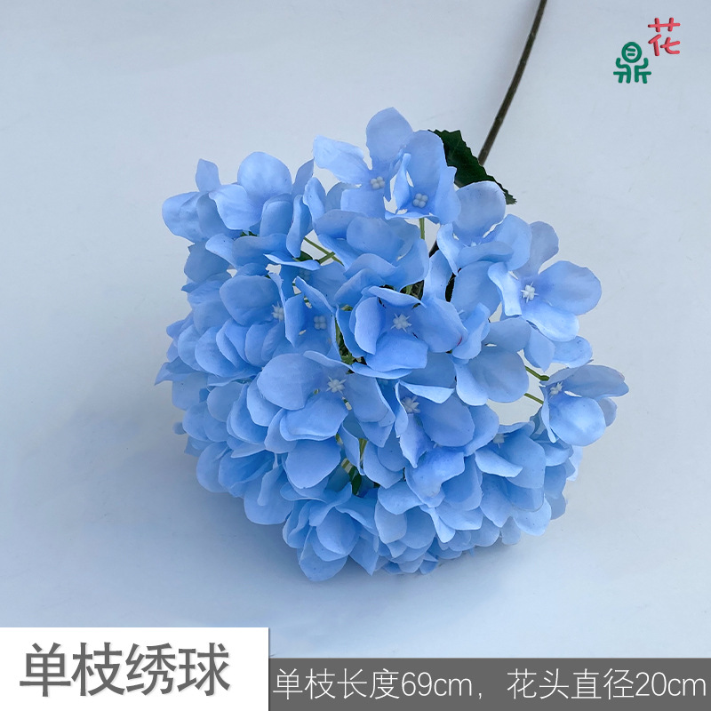 Single stroke LS light blue