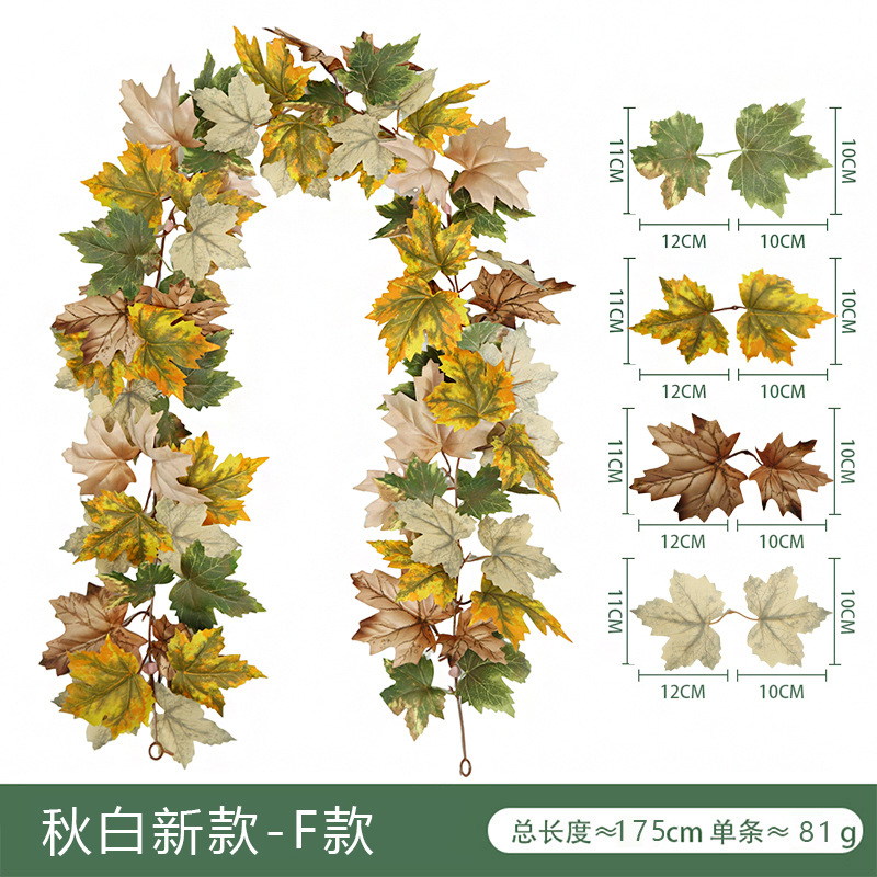 Autumn White New Style-F Style