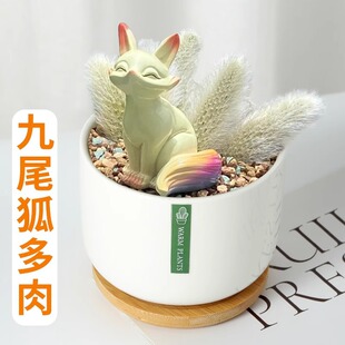 Nine-Tailed Fox Classy Succulent Plant Ornaments for Office Balcony Desktop Easy to Grow Long Soft-Haired White Fox Succulent Plants