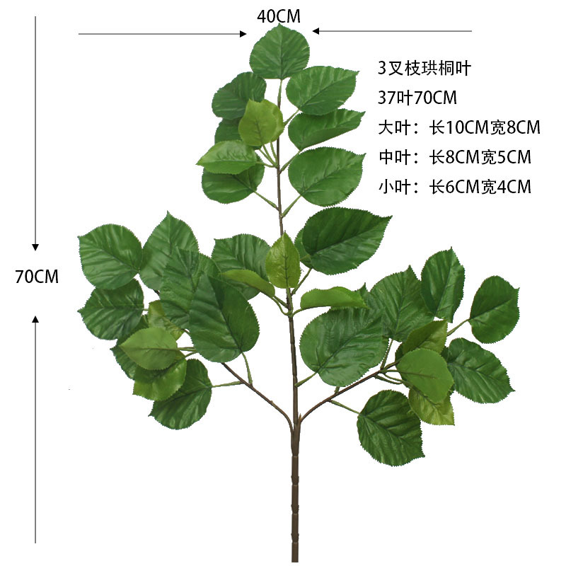 三叉珙桐叶 (4).jpg