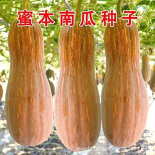 �����۱��ϹϷN���S�a����������Ʒ�N�Ϲ��ѷN�Ӵ����׷N�߲˷N��