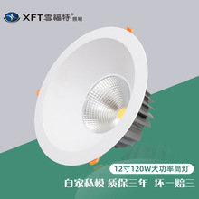 ���Fվ���Fվ���ô���12���_��300Ƕ��ʽcobͲ�������ӰԺ�ן�