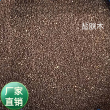 批发林木籽盐肤木树种子 野生五倍子盐酸木荒山造林树种 蜜源树籽