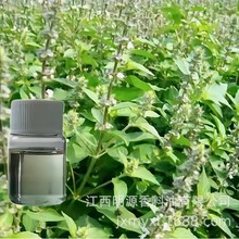 ؈������  catnip oil�mֲ�ﾫ�� ���󃞻�