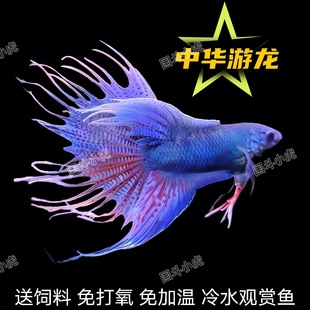 �Ї����~���B���w�����o�y�{�����{��ˮ��ˮ�ͻ��^�p�~��Ӝش���