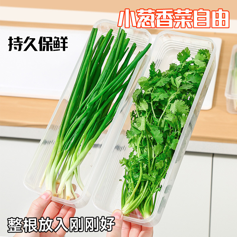 2つのネギとショウガのニンニクの小さいネギのヌードルの収納箱の長い四角な麺の新鮮な箱の食品級の密封のプラスチックの箱|undefined