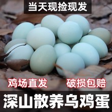 �����r�����u�����r�G�����u�������ЋD������ɽɢ�B���ﮔ��F�l