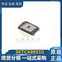 SKTCABE010 MձALPSĤp|_P3.4*2.2 ɴpI NƬ