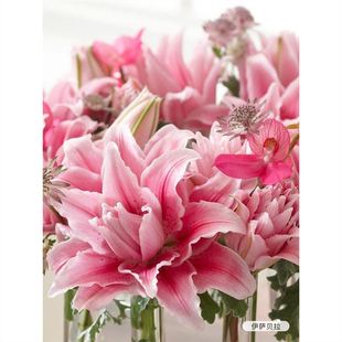 ��Խ��ٺϷN���M�چΰ��ذ�ٺ���ˮ�ٺϷN�Ӵ��ļ��������_ؐ��