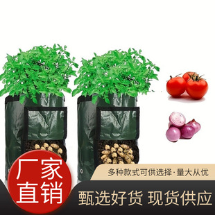 �Ӻ�PE�����Nֲ���R����߲�ֲ����������L��������NֲͰ��ֲ��