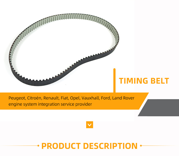 9464640380 Is Suitable for Peugeot Dw10Cted4 2.0 Hdi Timing Belt 116Rhds25.4