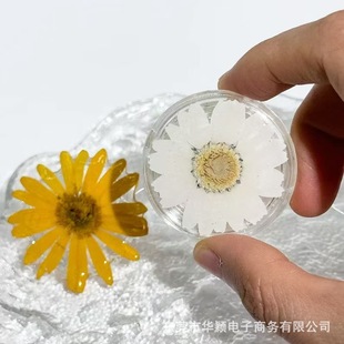 Creative Real Flower Magnetic Mobile Phone Holder Folding Air Bag Lazy Holder Foreign Trade Dried Flower Glue Mobile Phone Holder Wholesale