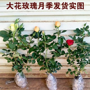 õ�廨�绨�����Դ��¼��ļ��������҃����̨�^���Gֲ���Nޱ��