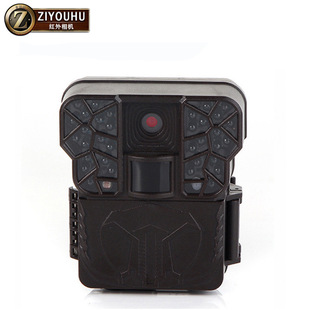 ���ɻ� ɭ�ּt�⾀�Б��Բʔz��C��������C�������C