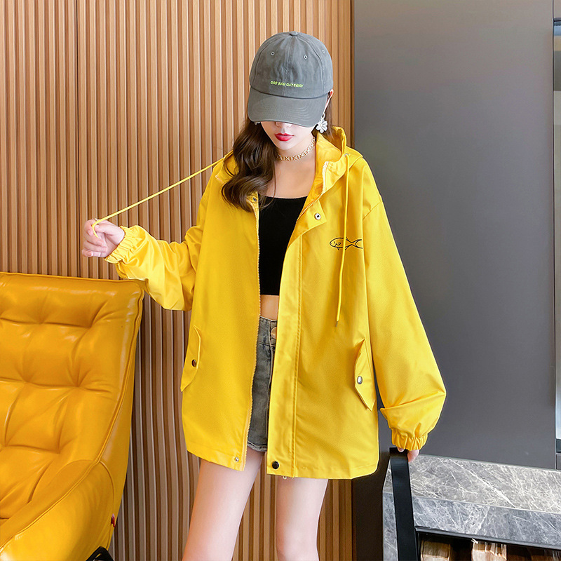 9_O1CN01GMUYWR246gcKOYvcC_!!22