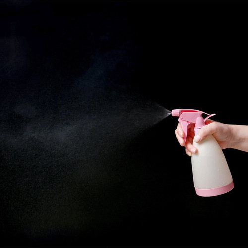家用园艺浇花小喷壶多肉植物喷水壶家用手压式消毒喷雾瓶塑料洒水
