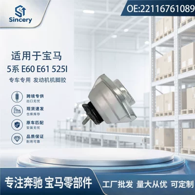 Suspension and Shock Absorber Systems and 6 Series E60 E63
