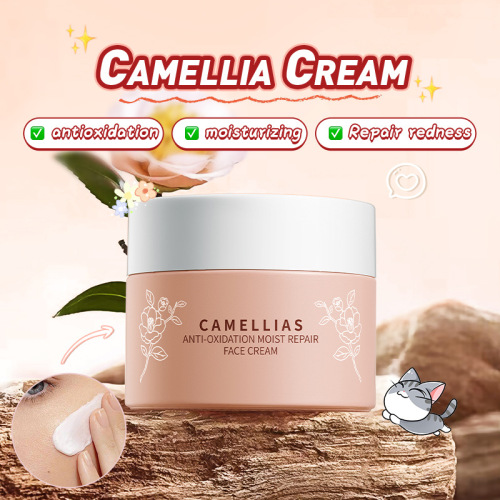 All English BIOAOUA Camellia Antioxidant Hydrating Repair Cream, Moisturizing Skin Care Cream, Cross-border Trade Wholesale
