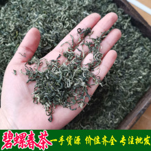 现货新茶中低档碧螺春茶叶 甘露高山浓香 厂家批发一手货源可加工