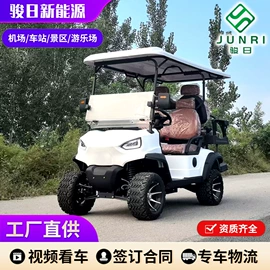 电动观光车;其他电动车;高尔夫球车