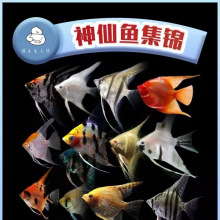 �����~С��������؈�Ꭷ�~�^�p�~��������ɫ���~�߲������~