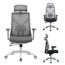 B20人体工学电脑椅 办公椅可躺 会议椅 椅子家用转椅 学习椅 座椅