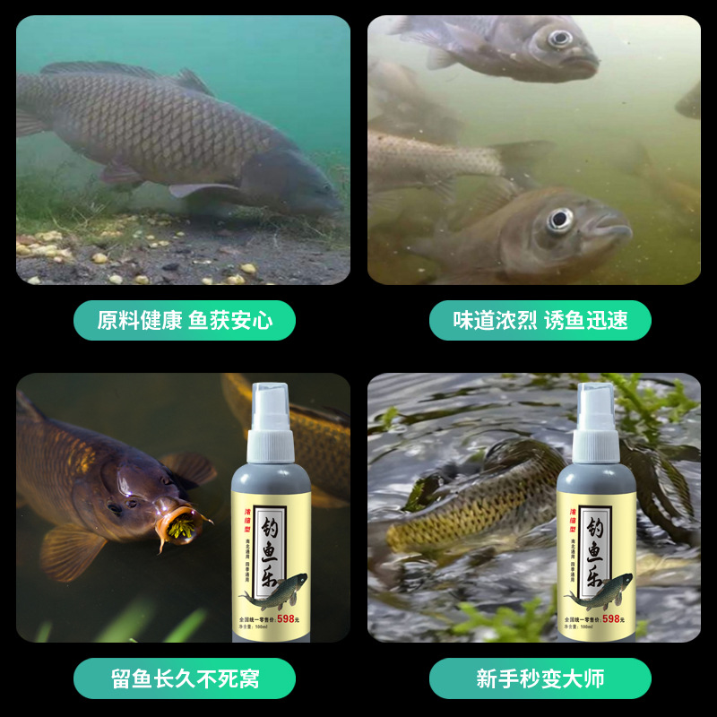 Aditivo de señuelo general de cuatro estaciones para la pesca de gallina roja, cebo de agua dulce, cebo de pesca salvaje, agujero negro de pesca