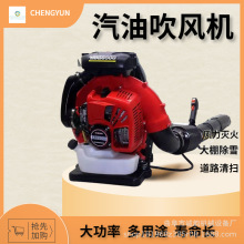 背负式汽油吹风机路面吹风道路清雪二冲程吹风器颜色随机