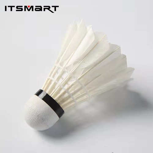 Factory wholesale [Amazon exclusive] goose feather straightening ITSMART badminton 3/6/12 pieces per dozen 