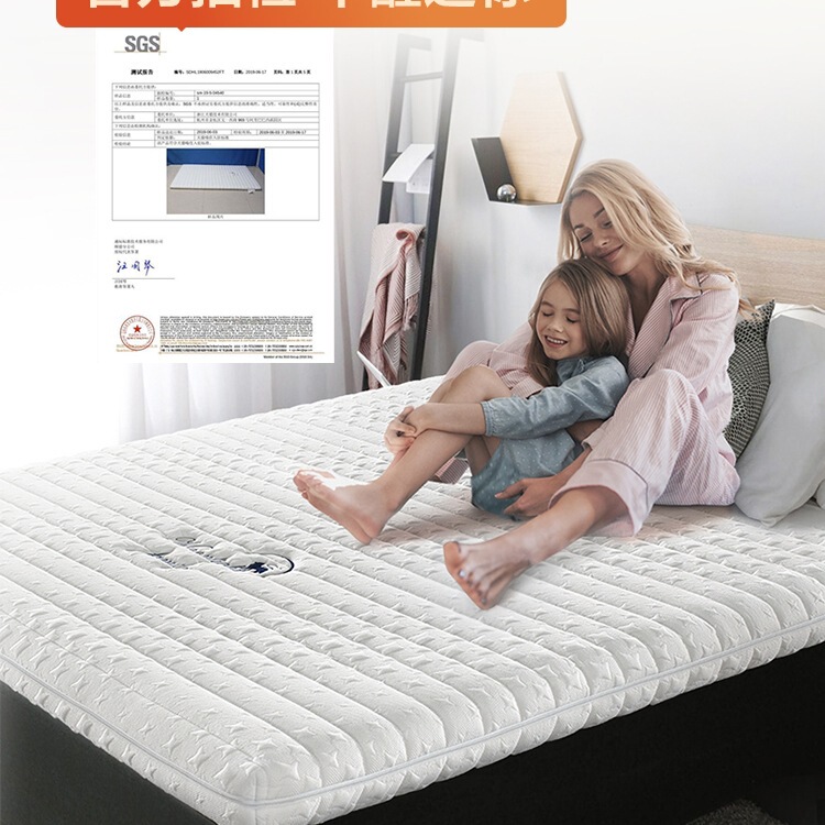 Natural Coconut Palm Mattress 1.8m Fully Removable Latex Jute Thin Hard 1.62m m Palm Spine Protector for Kidsren