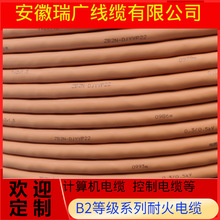 WDZB2N-DJYYRP23��ZB2N-DJYPYP23�������V���|WDZB2-DJYYP33-B