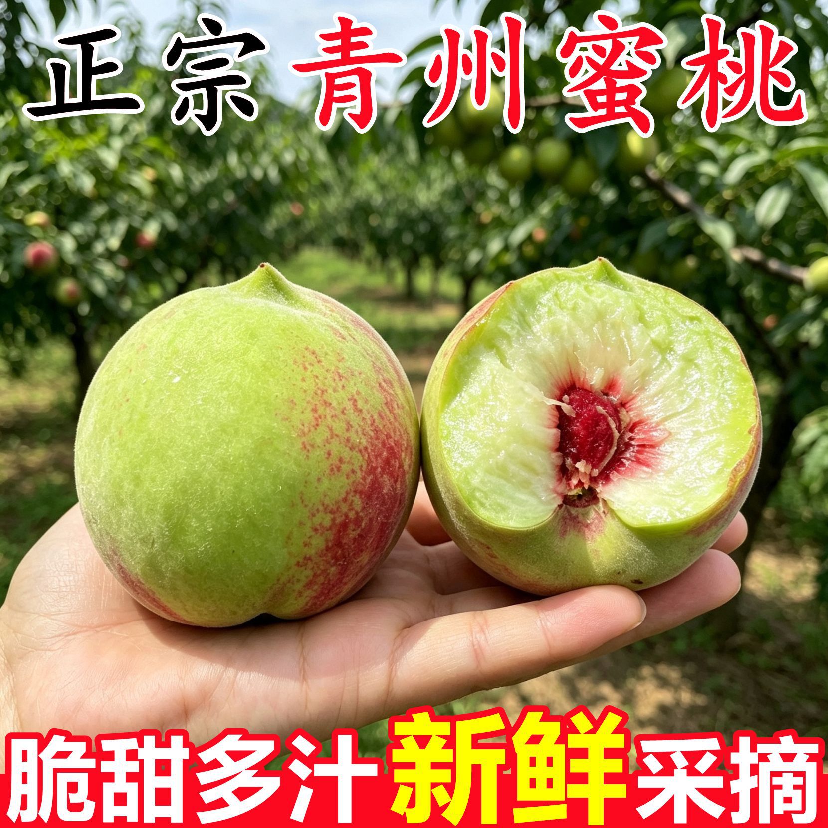 正宗山东青州蜜桃10斤脆甜桃子新鲜应当季时令孕妇水果现采摘整箱