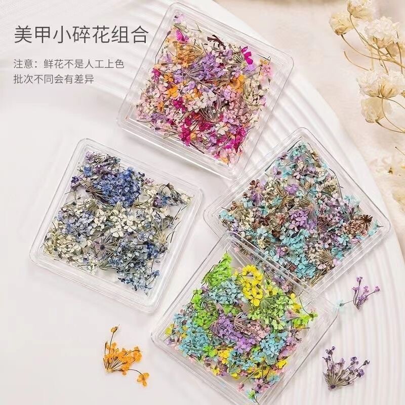 Net red with Japanese fresh dried flower color petals nail accessories nail accessories mixed material diy
