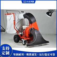草坪手推式吸树叶机  移动式落叶吸扫机  市政环卫园林落叶吸叶机