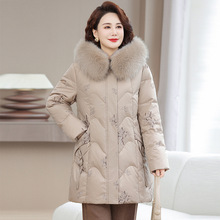 �p�ݴ������ꋌ����q��Ů���L��2025�¿�r�б�ů����ë�I������