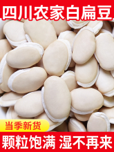 白扁豆新货500g四川农家自种小白豆扁豆配赤小豆薏仁五谷杂粮干货
