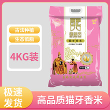 国粮贡猫牙香米长粒香大米南方山泉水稻低脂原生态丝苗米真空8斤