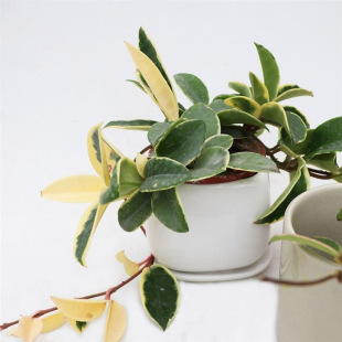 ���~���m�\���ٵ��mins���W�L�҃�ܛ�b�����̨�Gֲ�������B