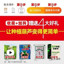 ���J��С���J�N�������������ˌ���ȫ�����^�p�ش�̖���ͺ���̫��