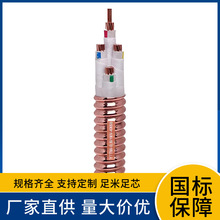 ����r�񃞏S�Ҷ��ư��y�~�o��YTTW1*10���ԵV��^��������|