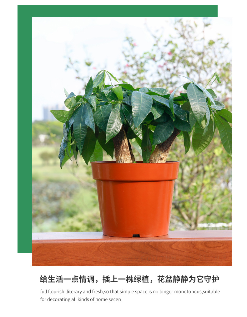 C型网底花托盆 (16)