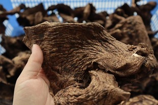 �ڻ��Ƹ�؛������r�Ҝ����500��ɢ�b�ڻ��ƾ���؛ ��؛���l