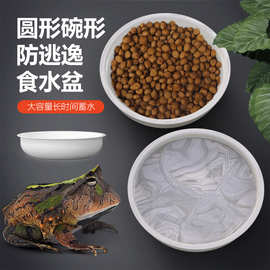 诺摩爬虫水盆食盆爬宠蜥蜴守宫蛇蜘蛛蝎子活食水碗
