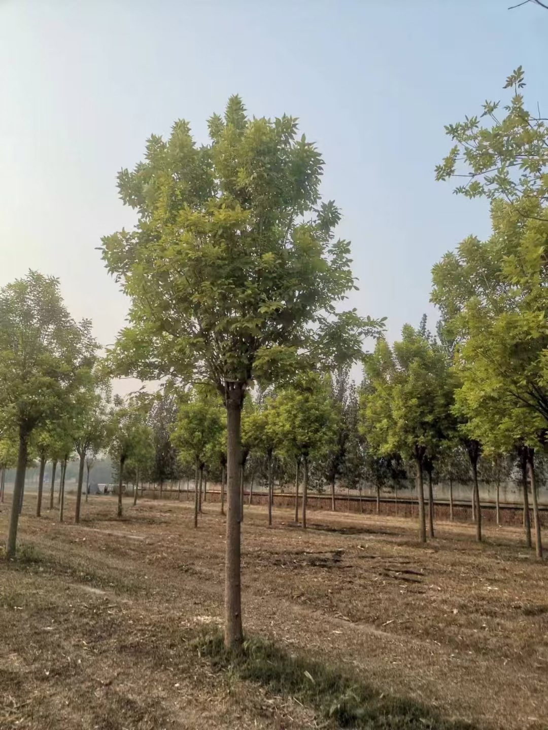 ΢��ͼƬ_20241016091638